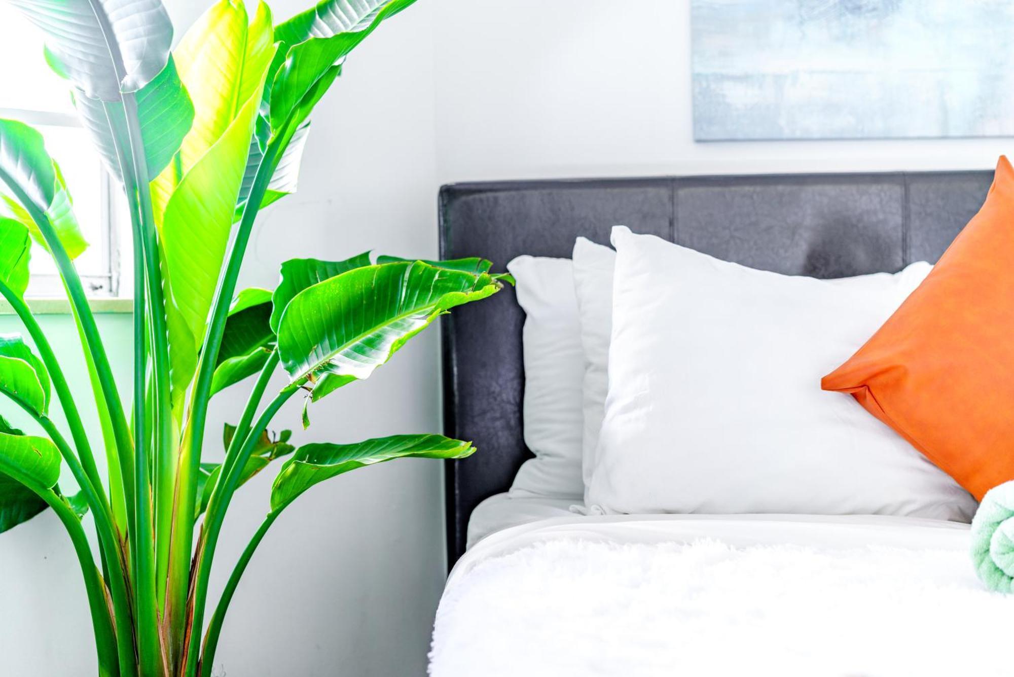 Apartamento Short North Convention Private Parking Pets Columbus Exterior foto
